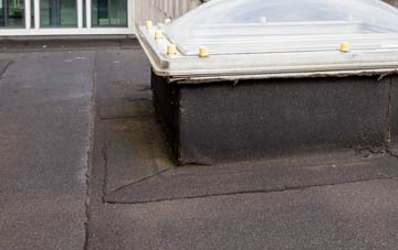 disadvantages of Haselbury Plucknett flat roofs