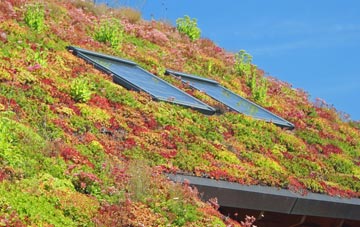 Haselbury Plucknett living roof systems