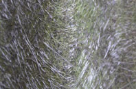 Haselbury Plucknett fibreglass roof work